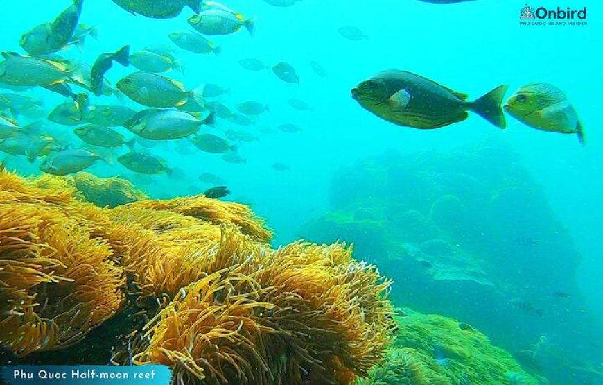 Phu Quoc Join-in Scuba diving trip 8 HOURS
