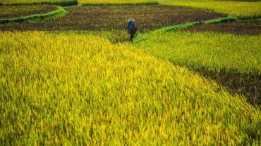 7 essential things to do in Mai Chau
