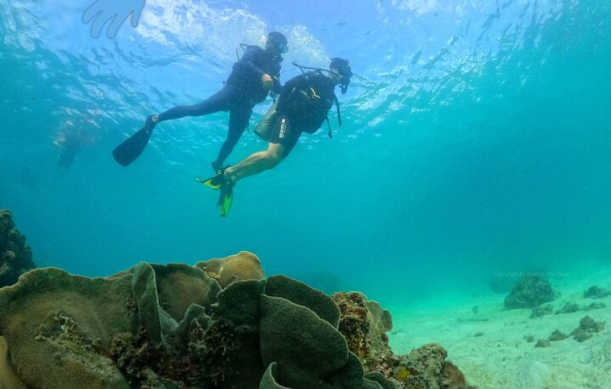 Phu Quoc Join-in Scuba diving trip 8 HOURS