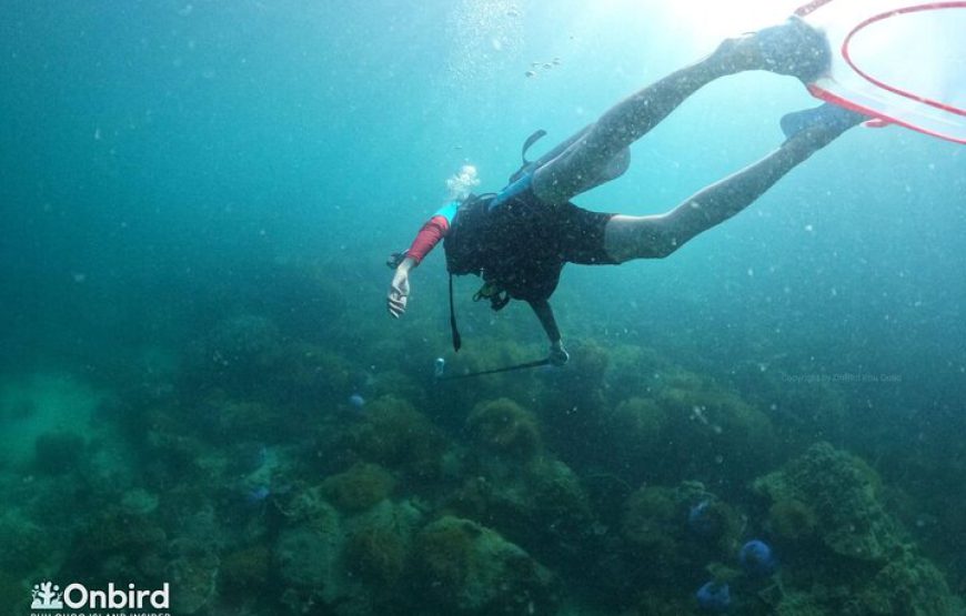 Phu Quoc Join-in Scuba diving trip 8 HOURS